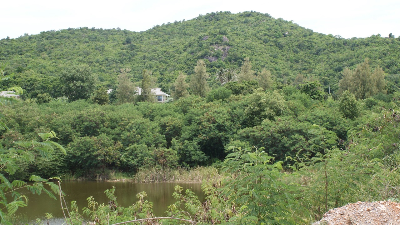 Photo of Outdoor in Khao Tao