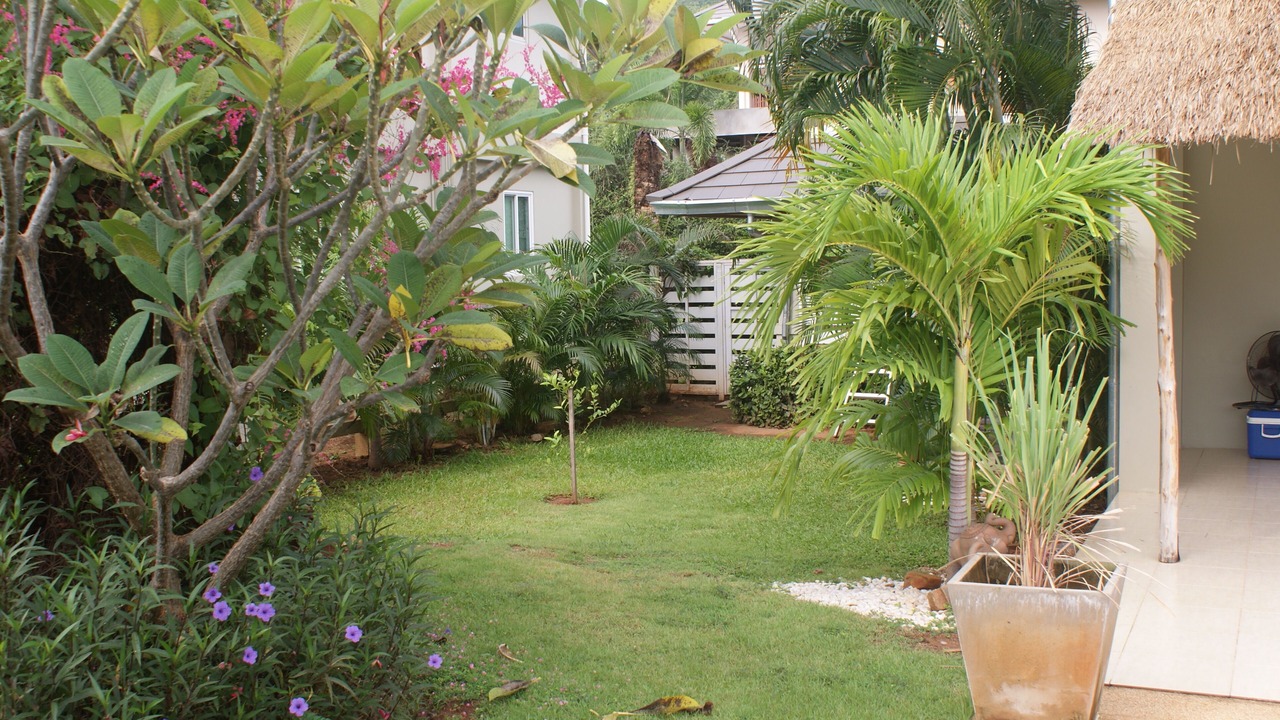 Photo of Outdoor in Khao Tao