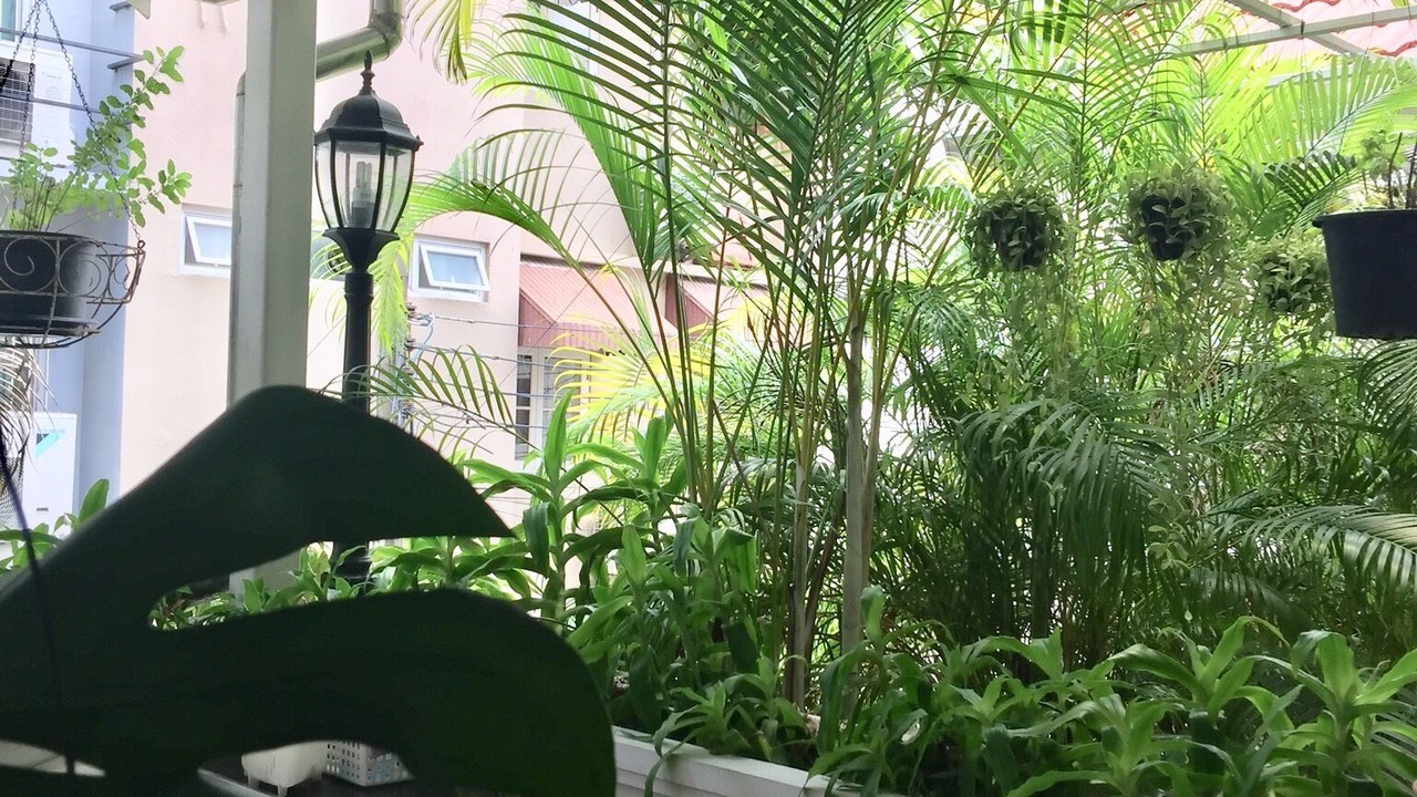 Photo of Outdoor in Thung Maha Mek