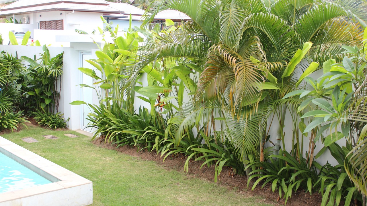 Photo of Outdoor in Choeng Mon