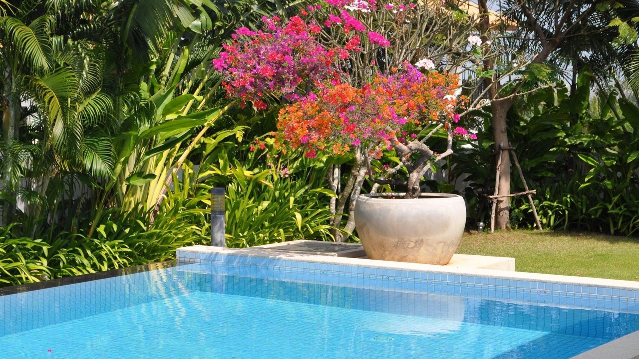 Photo of Outdoor in Nong Kae