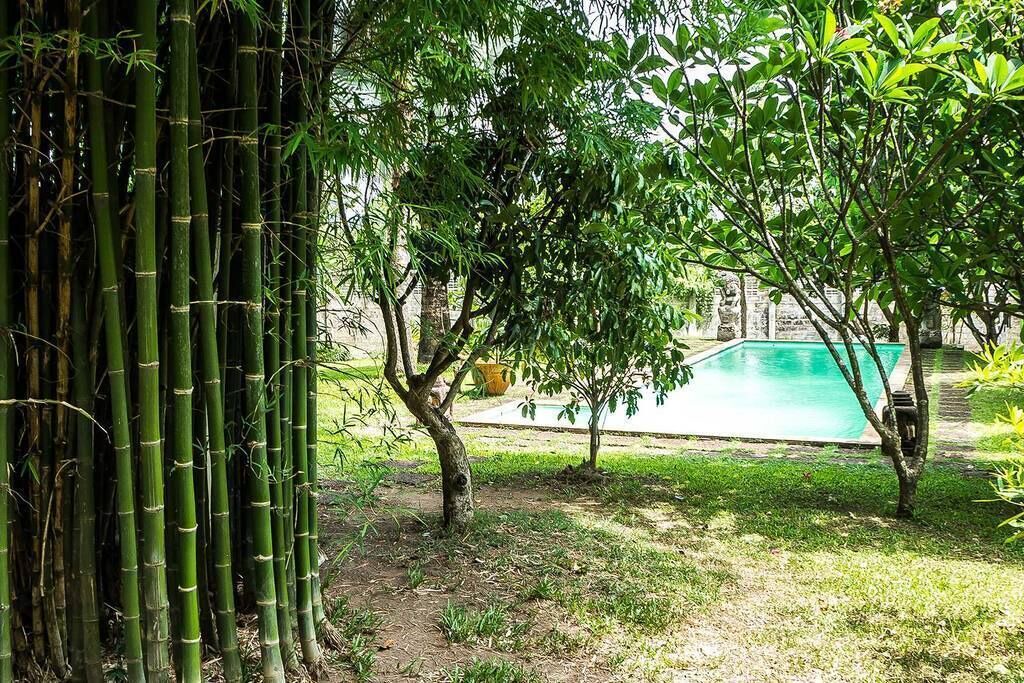 Photo of Outdoor in Mae Pong