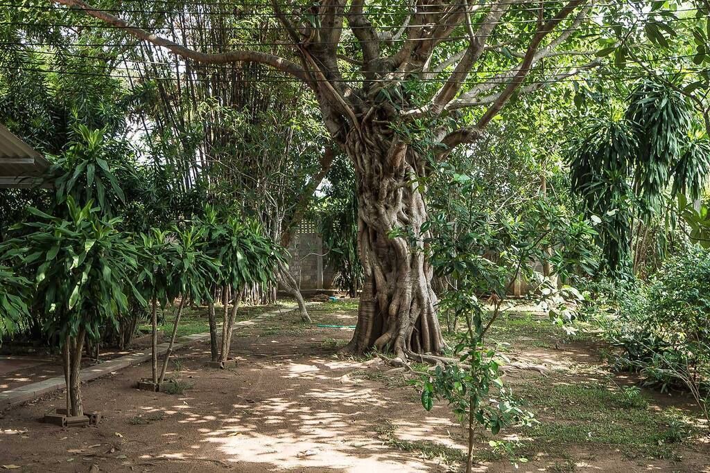 Photo of Outdoor in Mae Pong