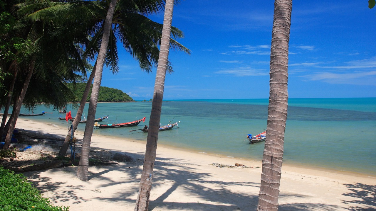 Photo of Others in Lipa Noi