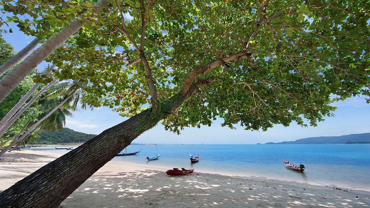 Photo of Others in Lipa Noi