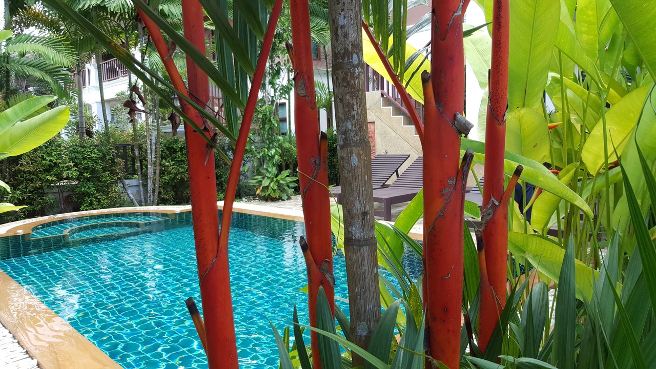 Photo of Outdoor in Krabi