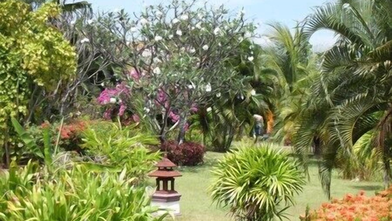 Photo of Outdoor in Wang Pong