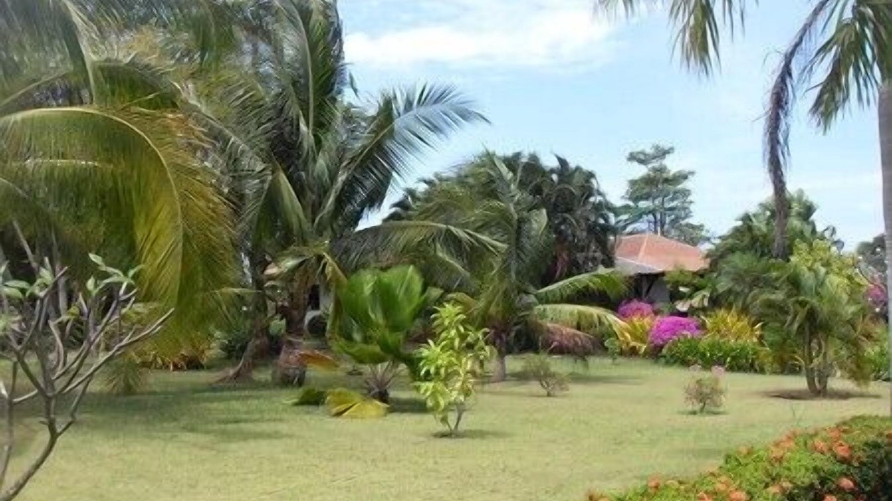 Photo of Outdoor in Wang Pong