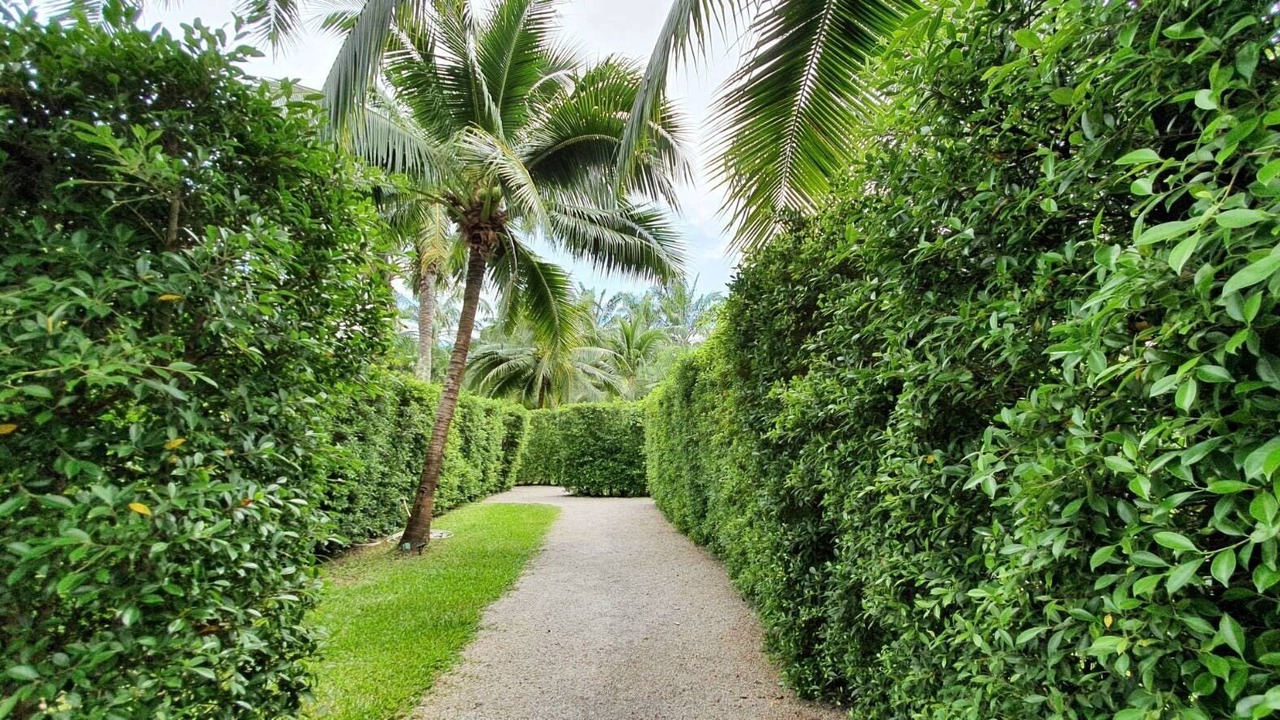 Photo of Outdoor in Ao Nang