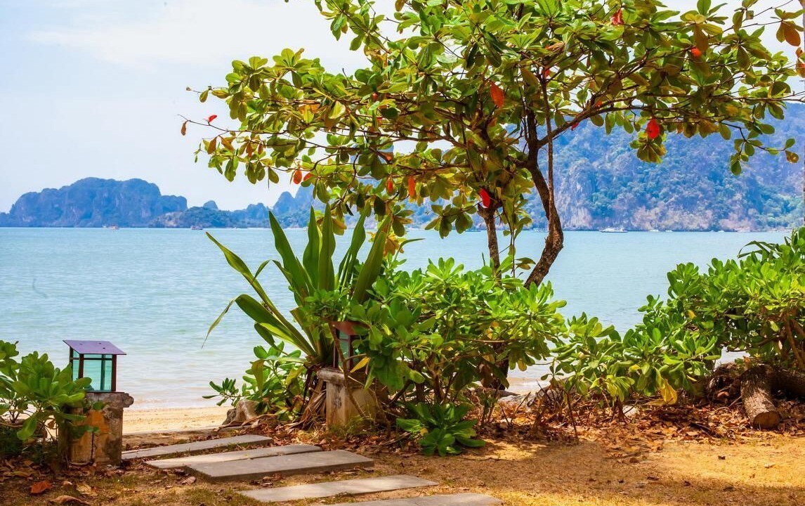 Photo of Outdoor in Sai Thai