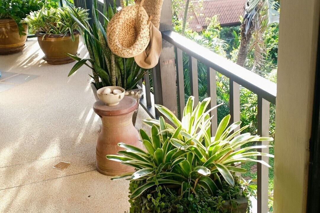 Photo of Outdoor in Krabi