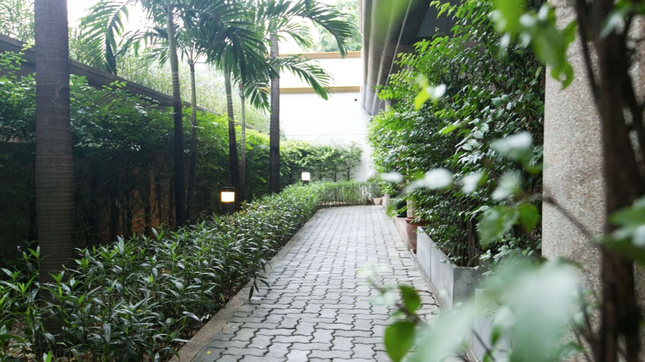 Photo of Outdoor in Thung Maha Mek