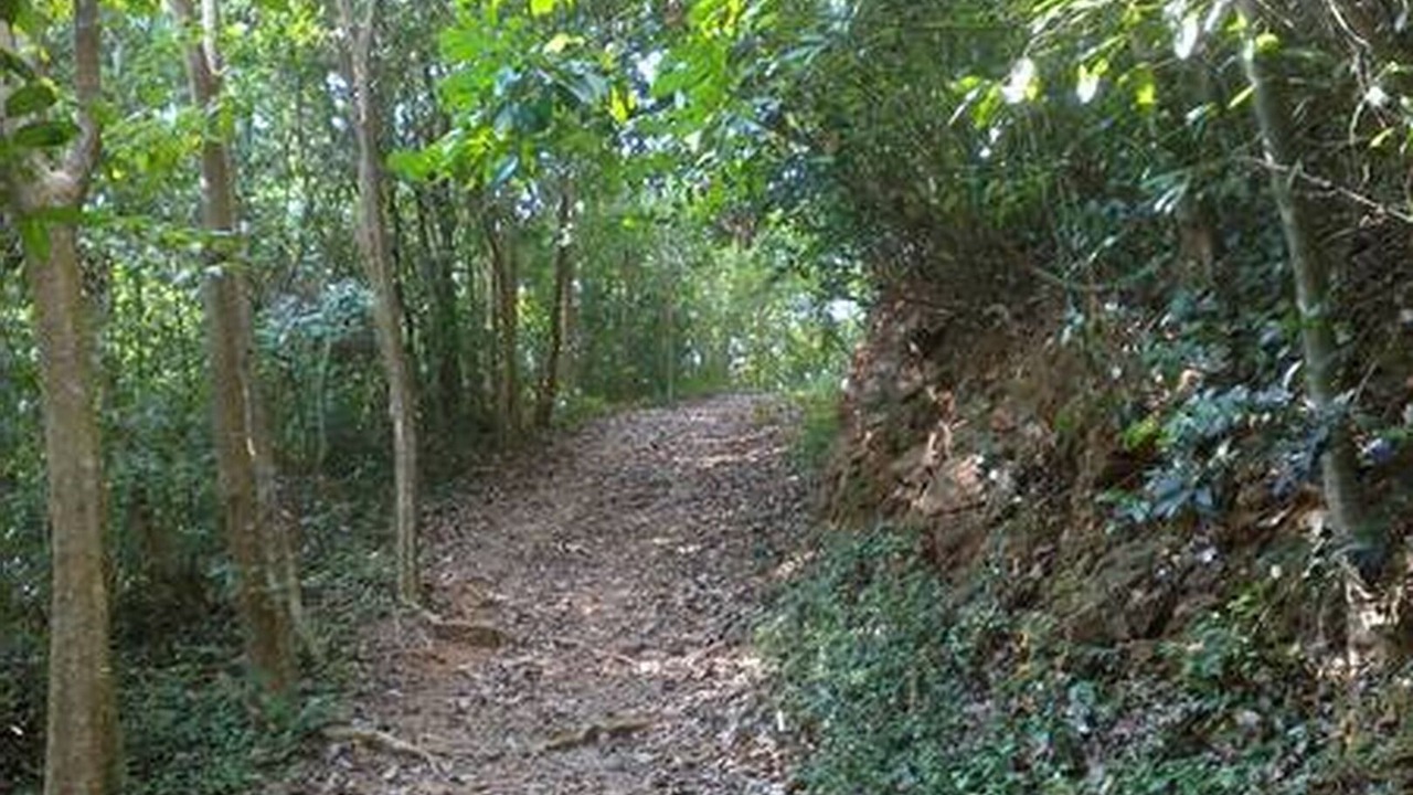 Photo of Outdoor in Rayong Province
