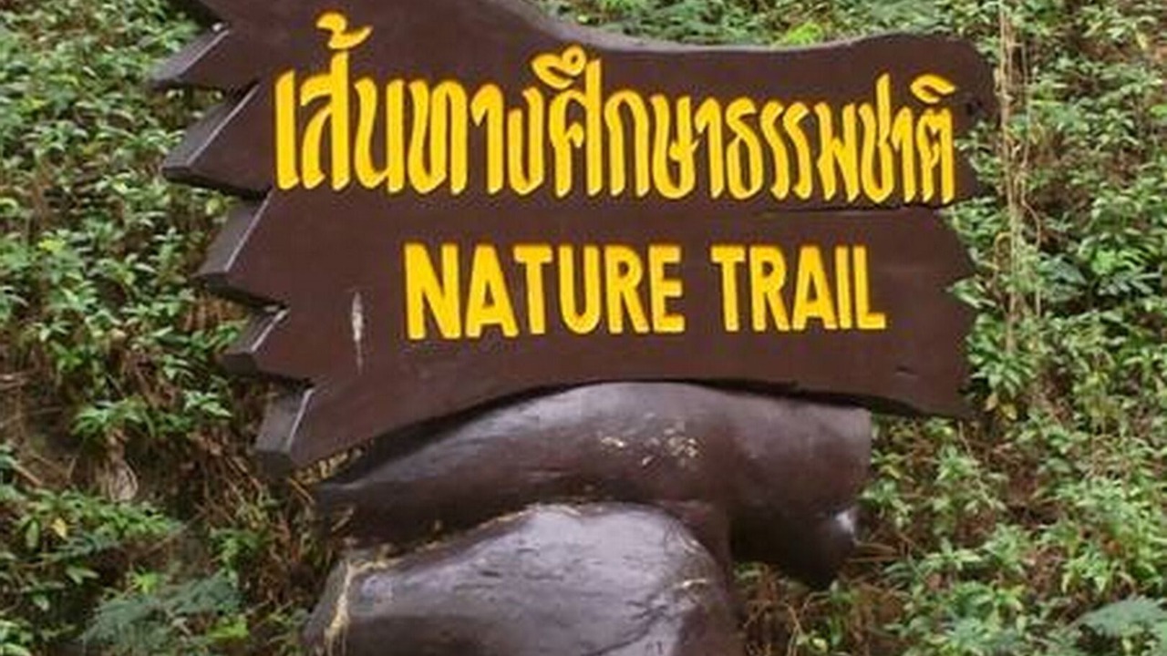Photo of Outdoor in Rayong Province