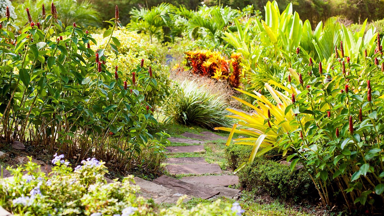 Photo of Outdoor in Nong Thale
