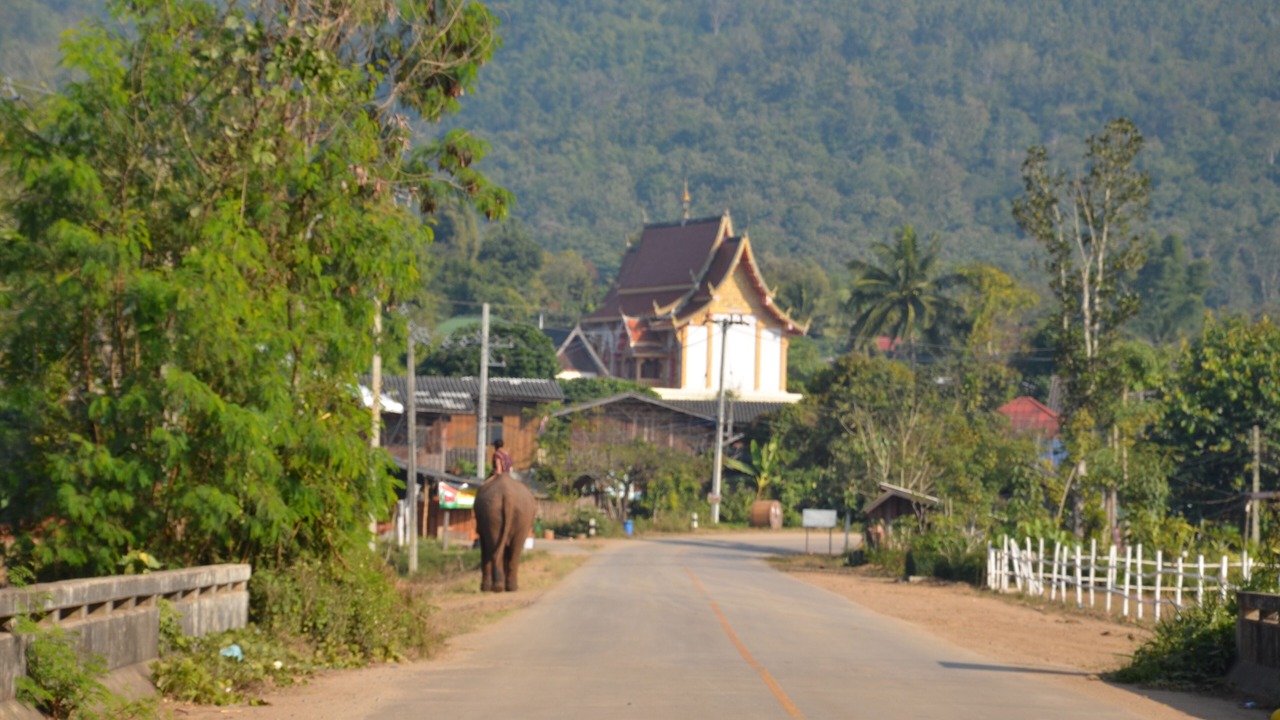 Photo of Outdoor in Nong Kwai