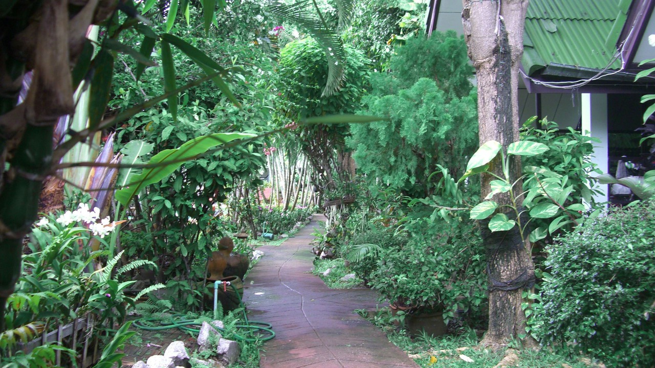 Photo of Outdoor in Rayong