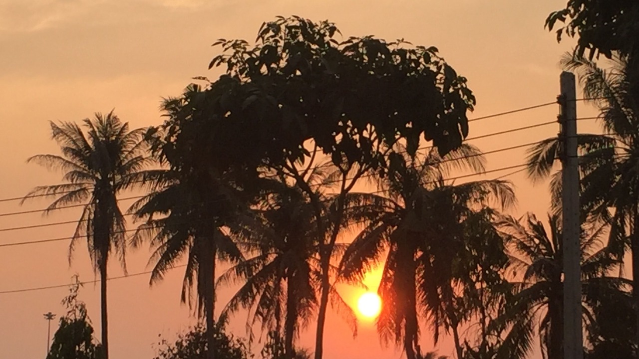 Photo of Outdoor in Wang Pong