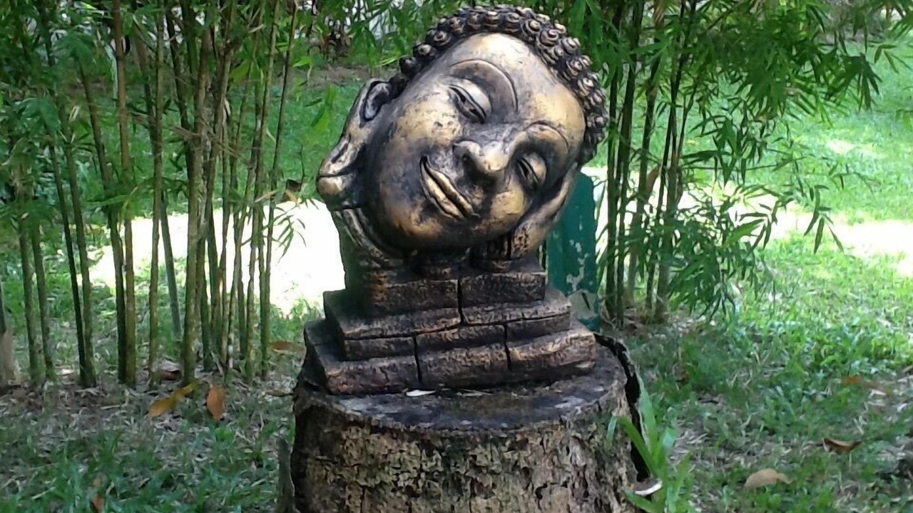 Photo of Others in Bang Po