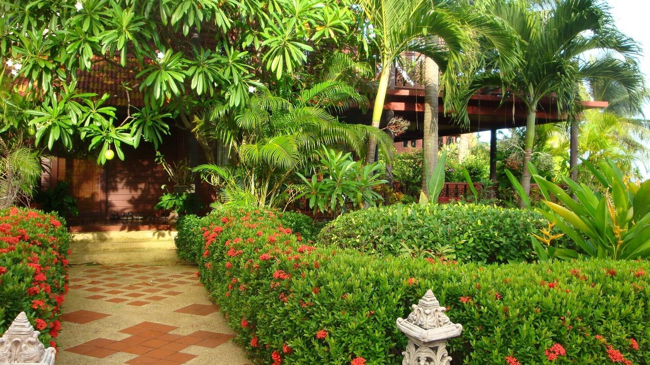 Photo of Outdoor in Bang Po