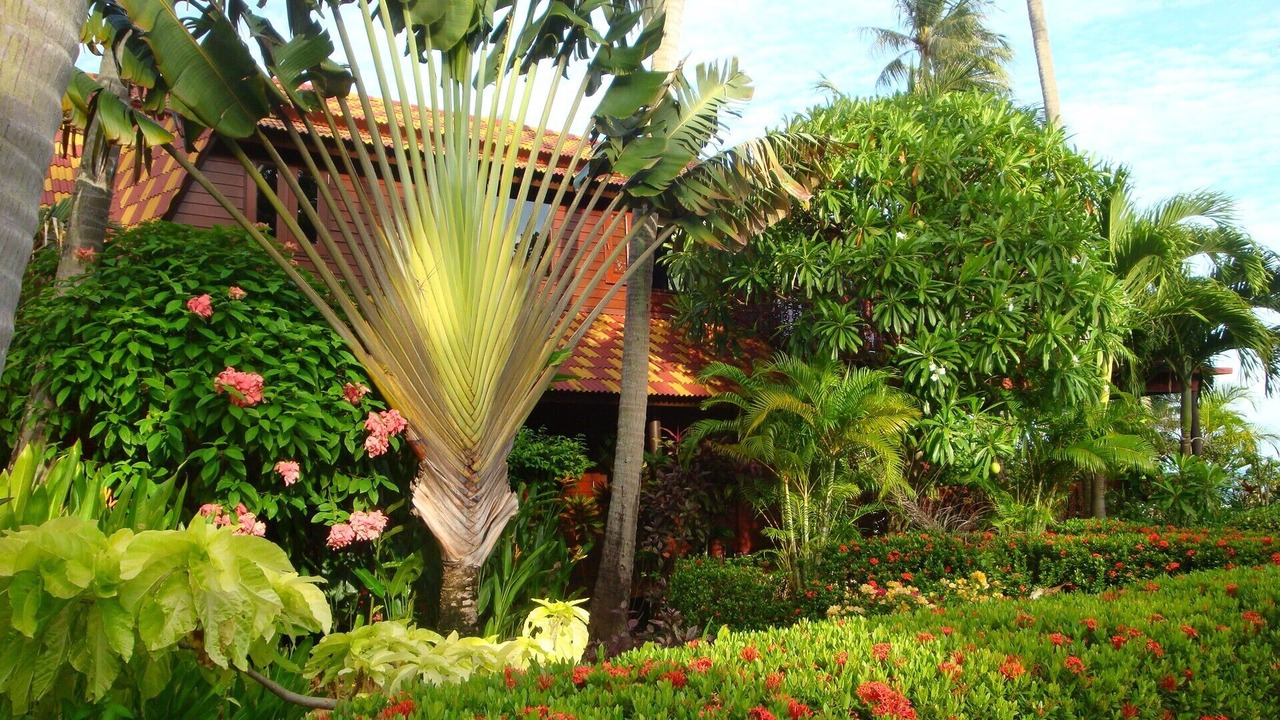 Photo of Outdoor in Bang Po
