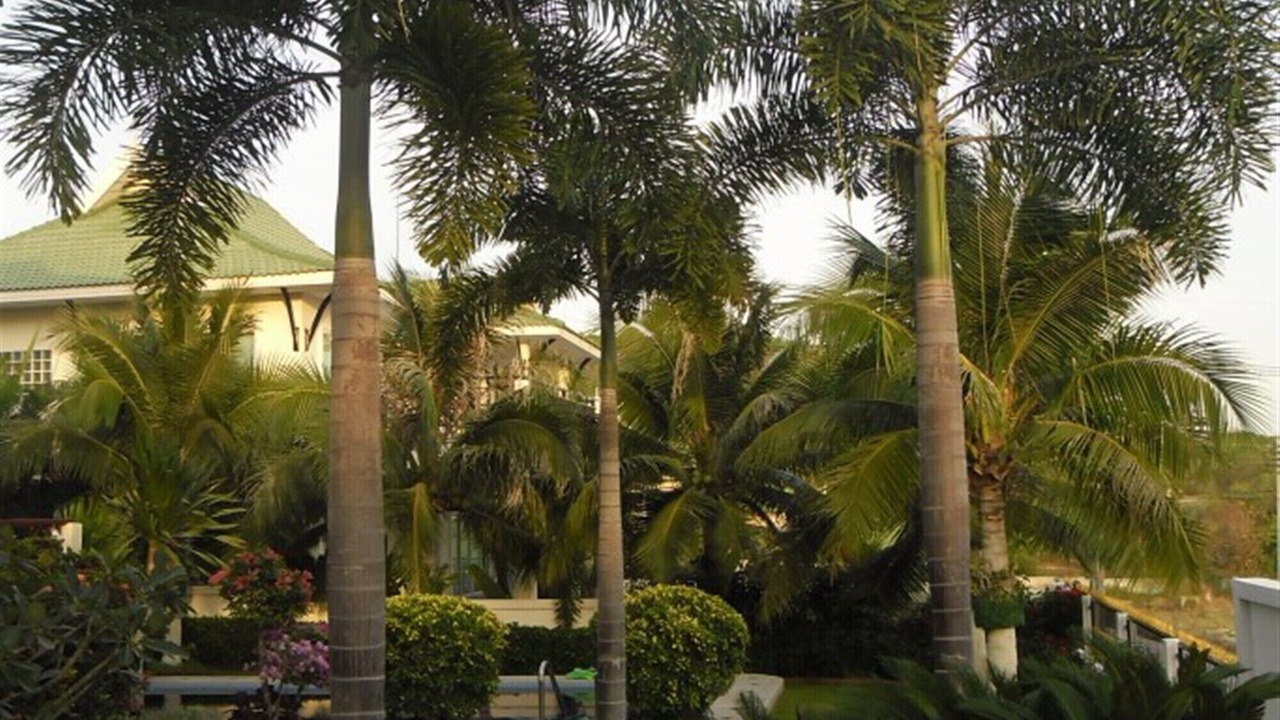 Photo of Outdoor in Hin Lek Fai