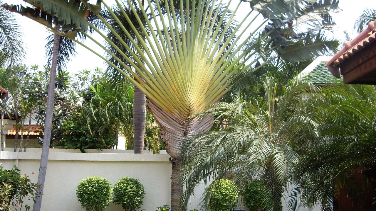 Photo of Outdoor in South Pattaya