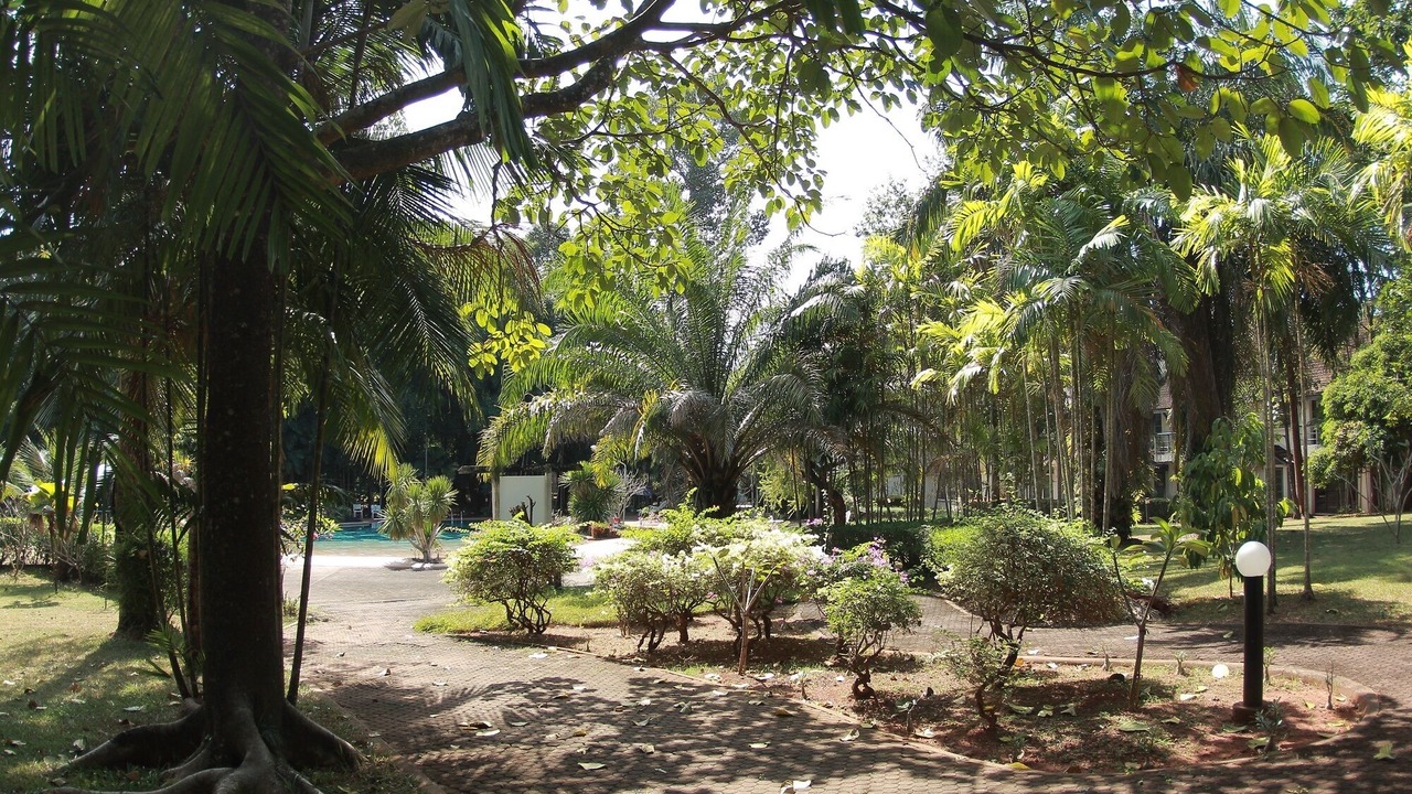 Photo of Outdoor in Kram