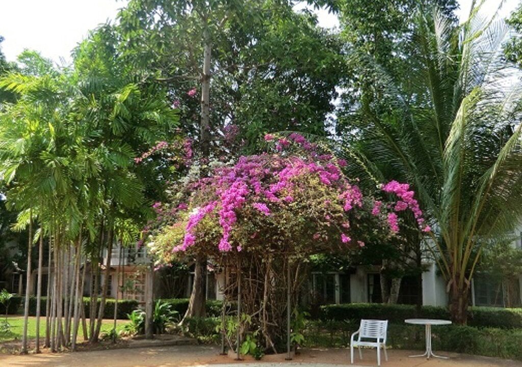 Photo of Outdoor in Kram