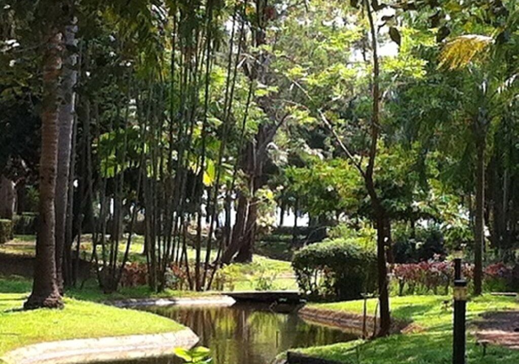 Photo of Outdoor in Kram