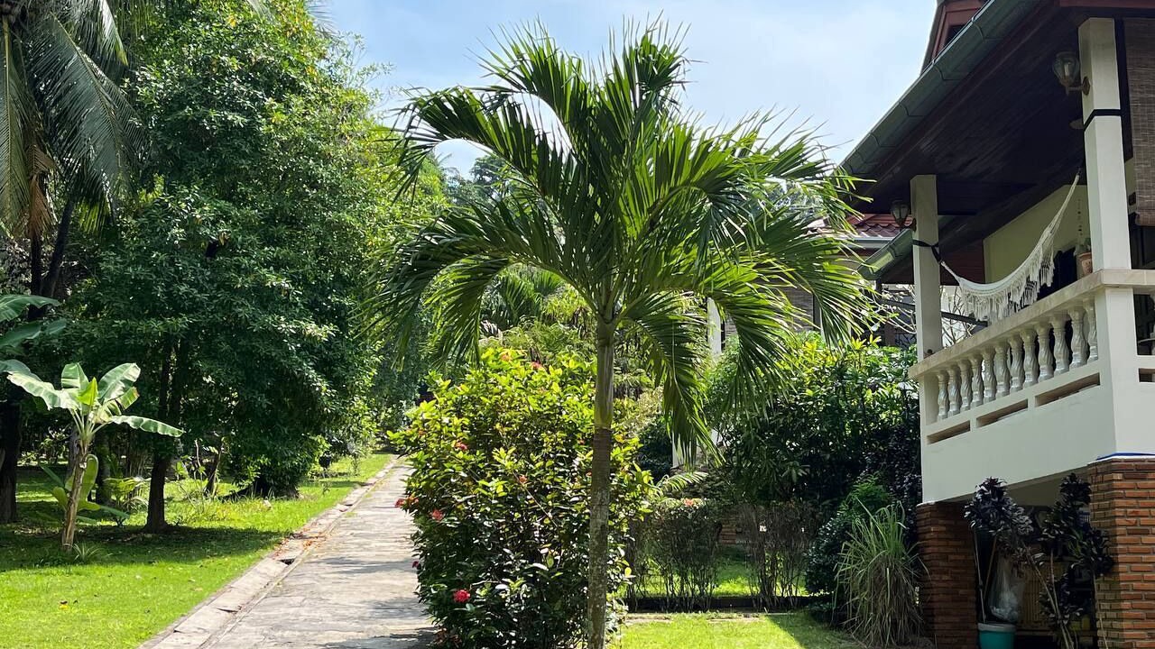 Photo of Outdoor in Wok Tum