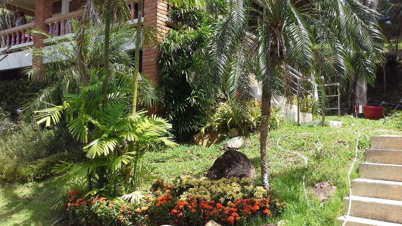 Photo of Outdoor in Ko Lanta