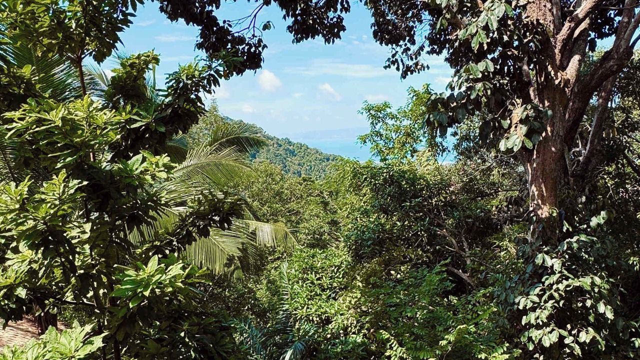 Photo of Outdoor in Ko Pha-ngan