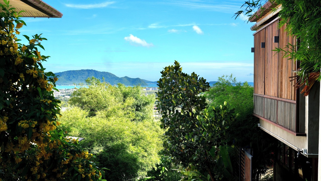 Photo of Outdoor in Patong