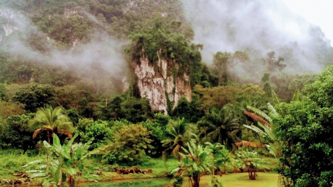 Photo of Others in Nong Thale