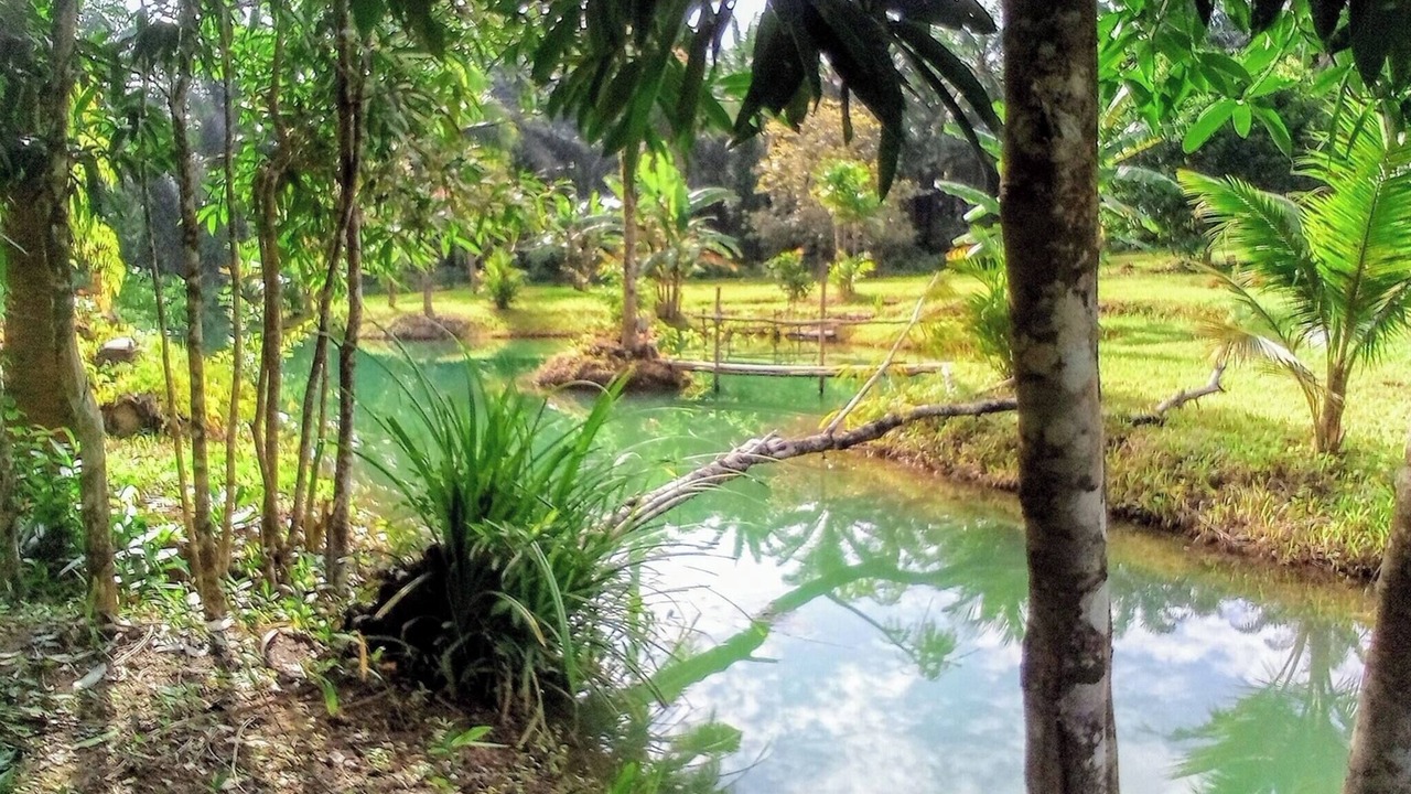 Photo of Outdoor in Nong Thale