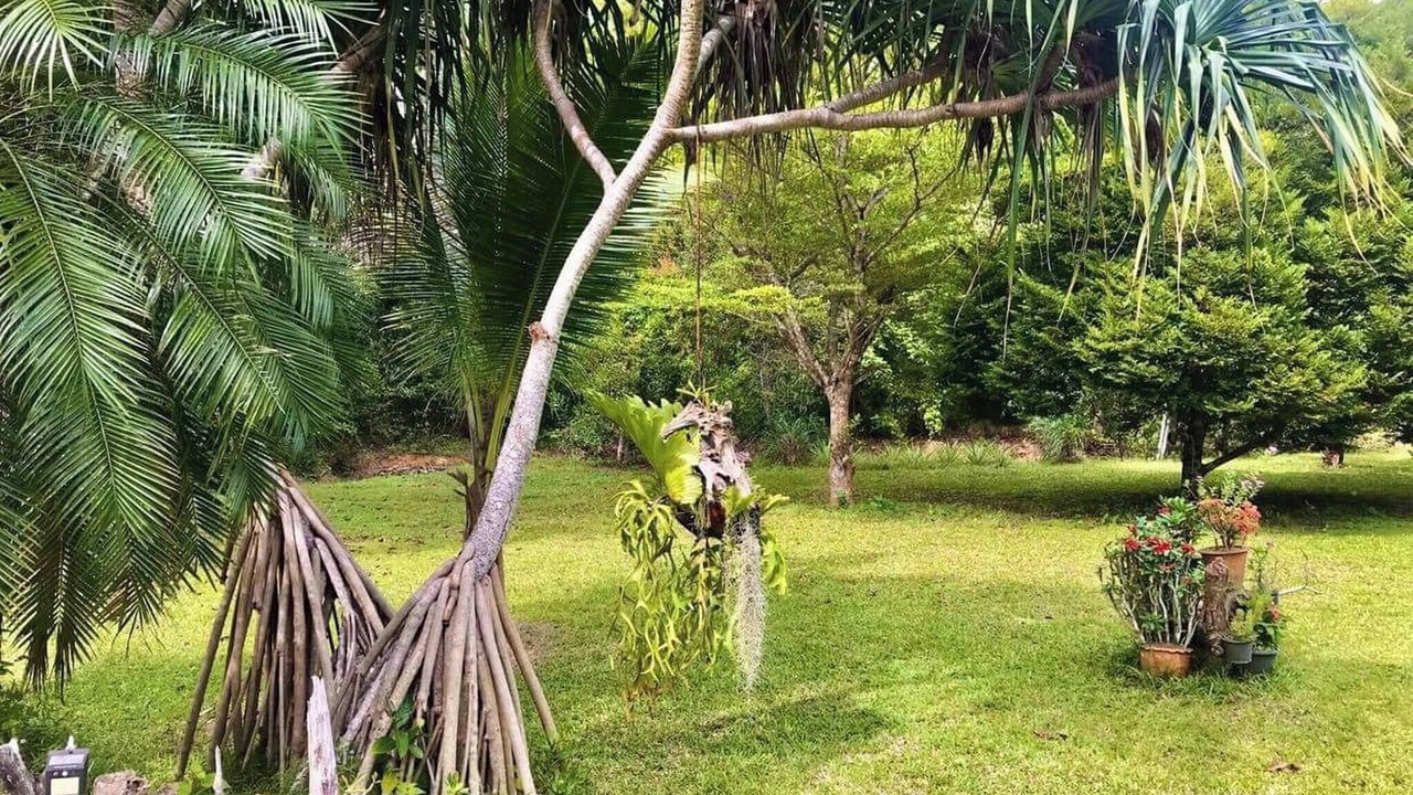 Photo of Outdoor in Nong Thale