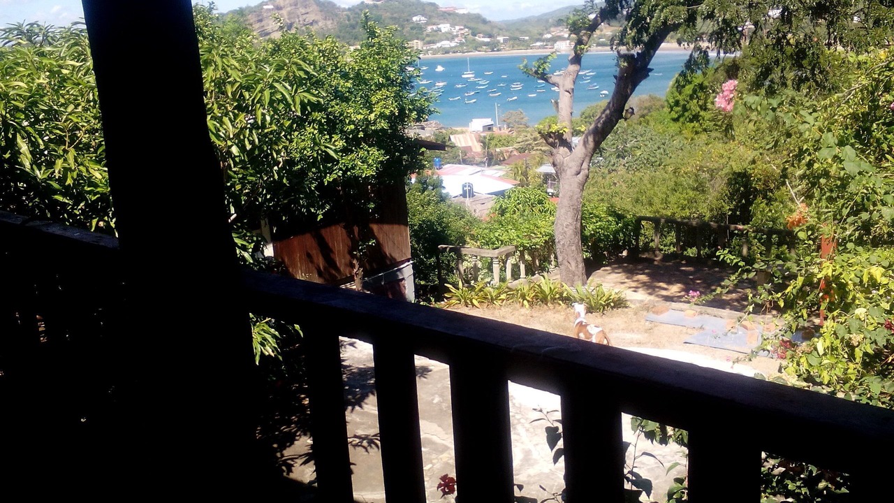 Photo of Outdoor in Paradise Bay
