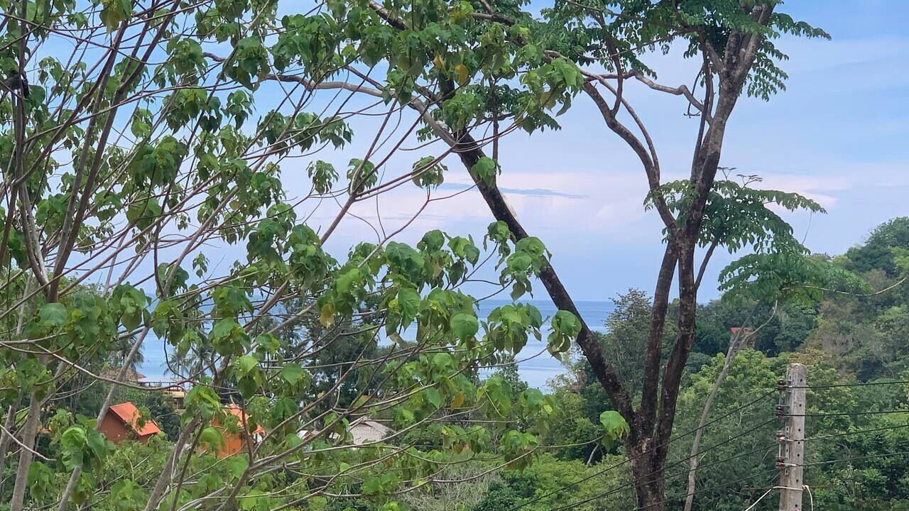 Photo of Others in Ko Lanta
