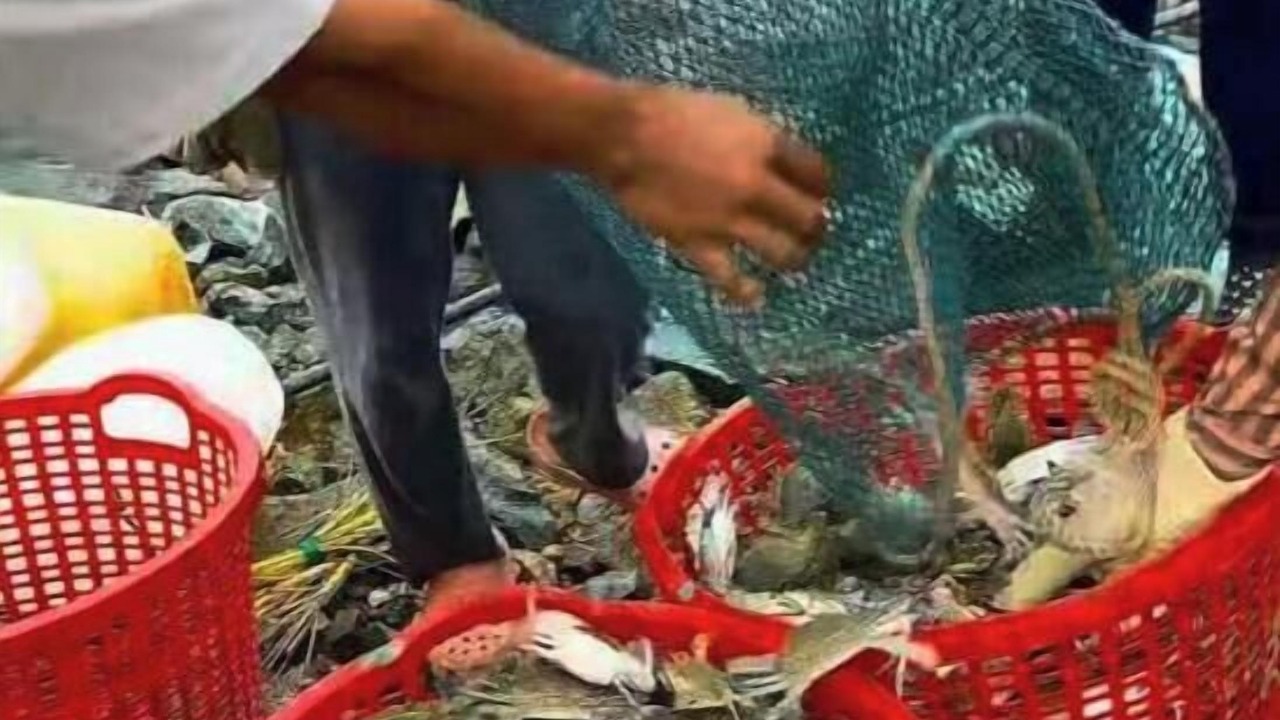 Photo of Others in Kep