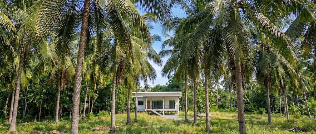 Photo of Outdoor in Srithanu