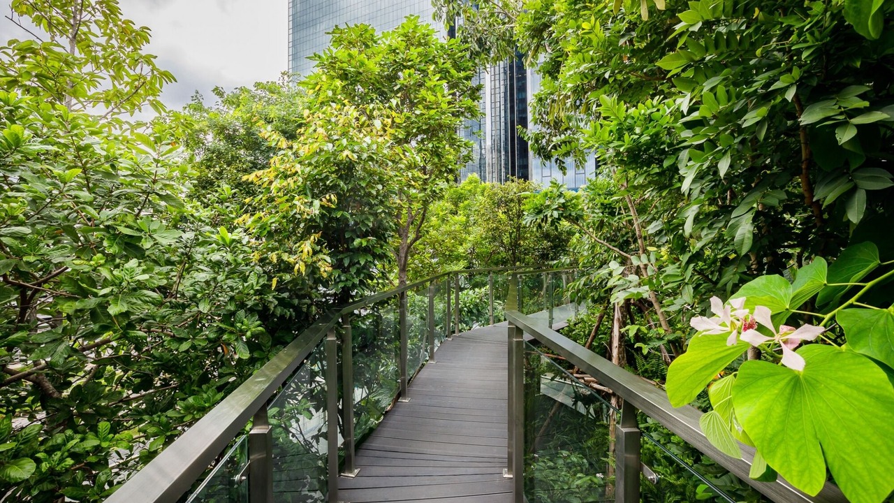 Photo of Outdoor in Rama 9