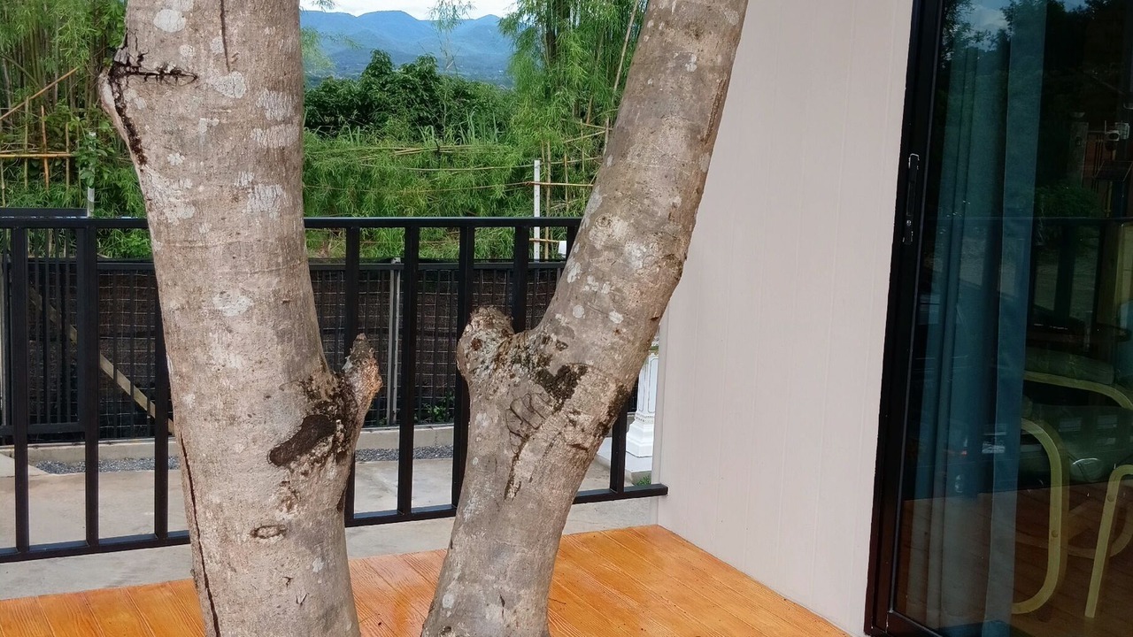 Photo of Outdoor in Mae Rim