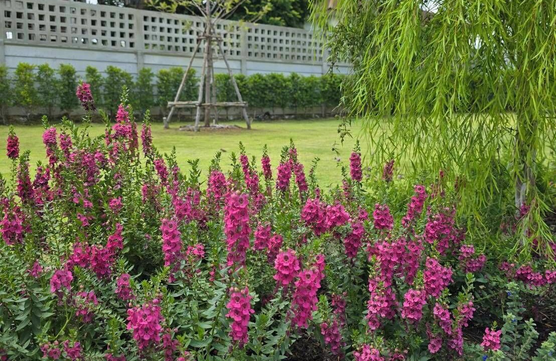 Photo of Outdoor in Phra Khanong