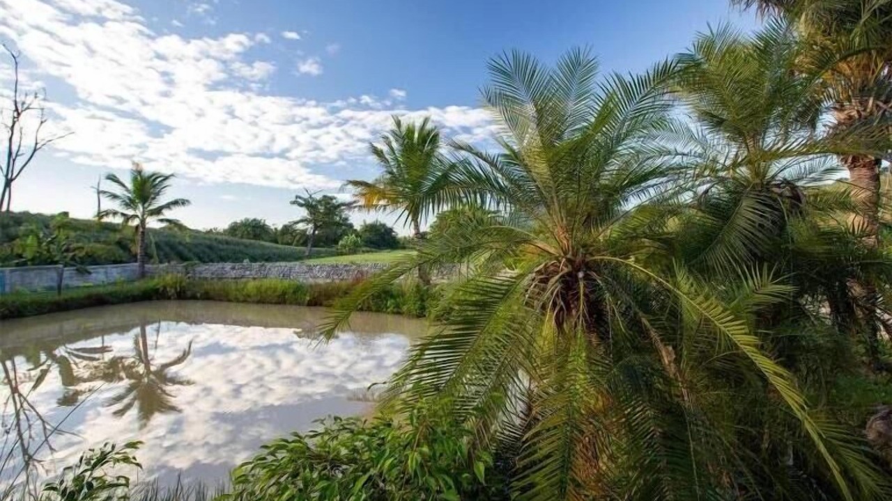 Photo of Outdoor in Doi Hang