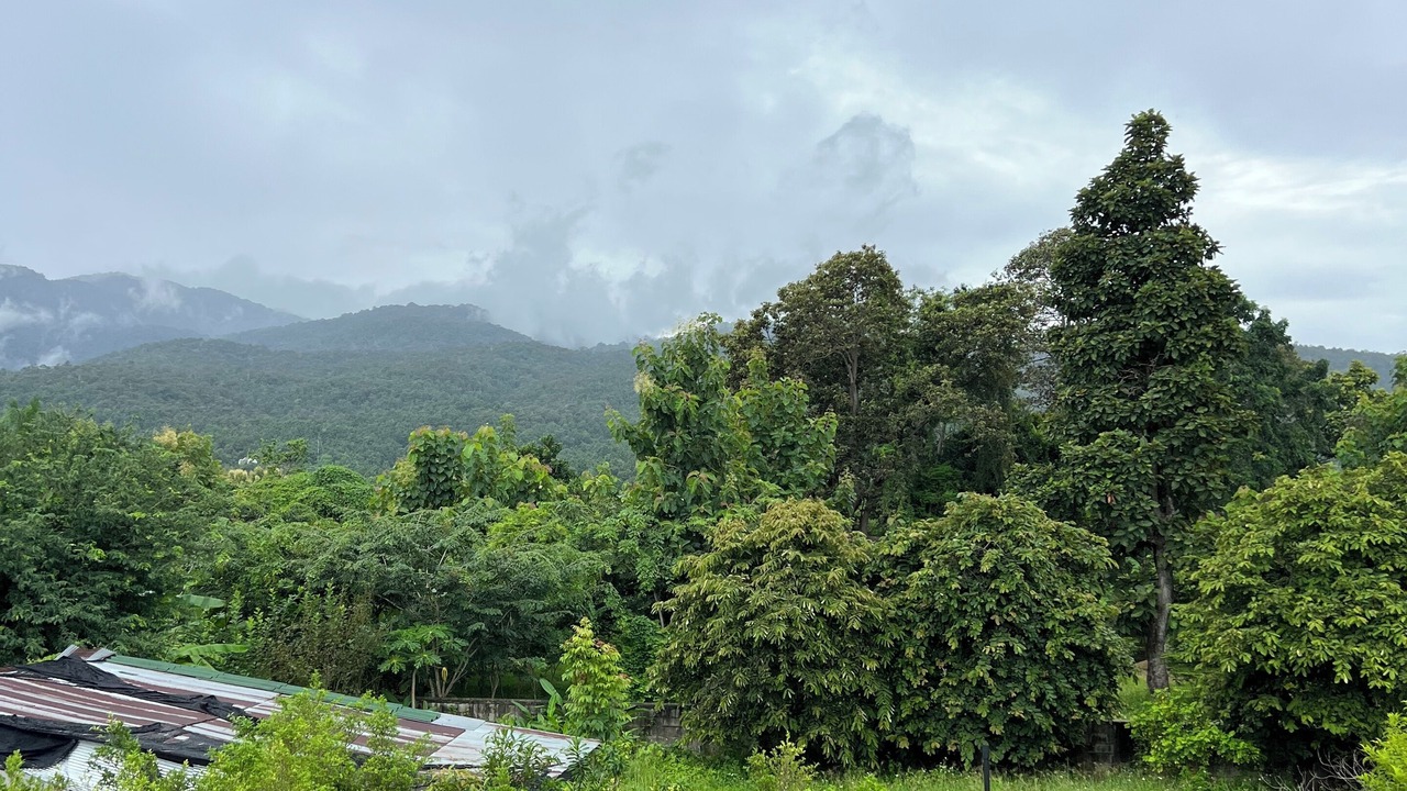 Photo of Outdoor in Chang Phueak