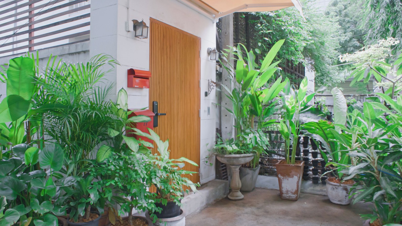 Photo of Outdoor in Bang Rak