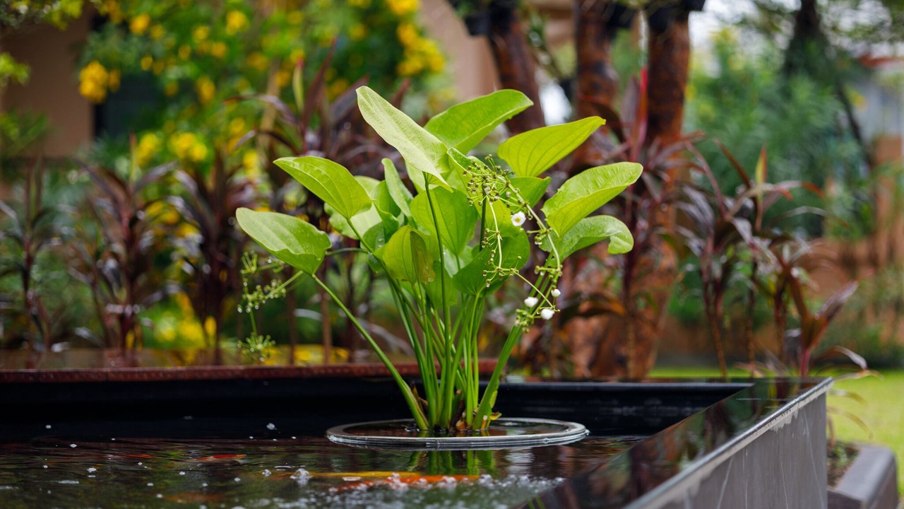 Photo of Outdoor in Huai Yai