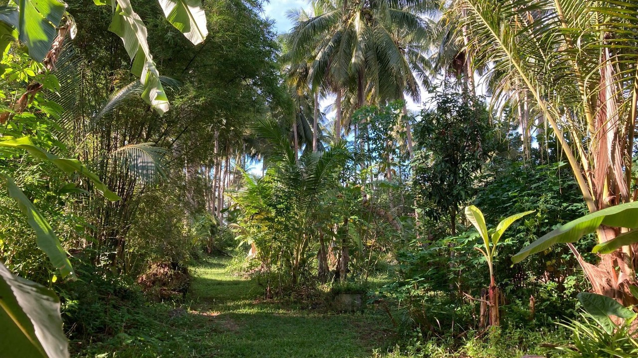 Photo of Outdoor in Chumphon