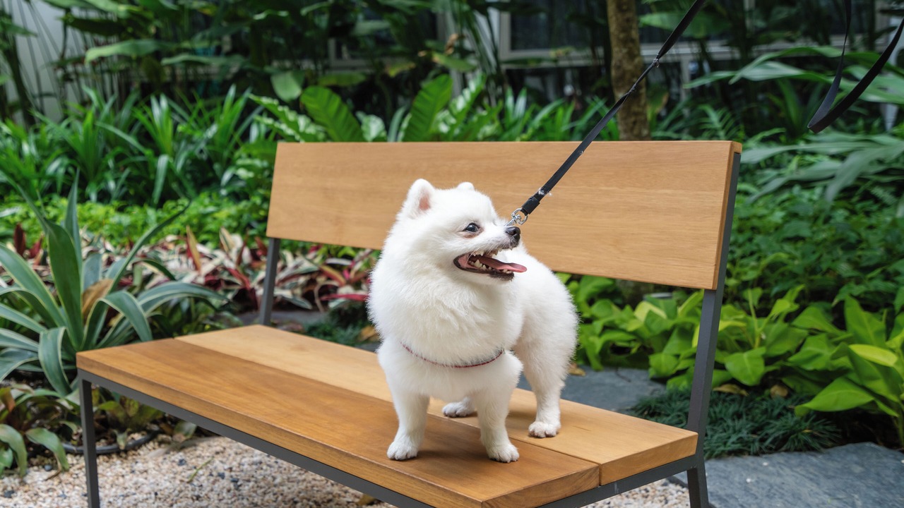 Photo of Outdoor in Cherngtalay